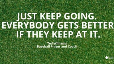 persistence quote ted williams baseball